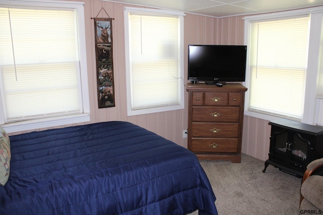 23809 F Plz Unit 9, Waterloo, NE 68069 - view of carpeted bedroom