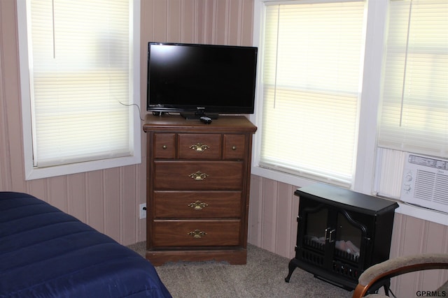 23809 F Plz Unit 9, Waterloo, NE 68069 - bedroom featuring carpet flooring and wood walls