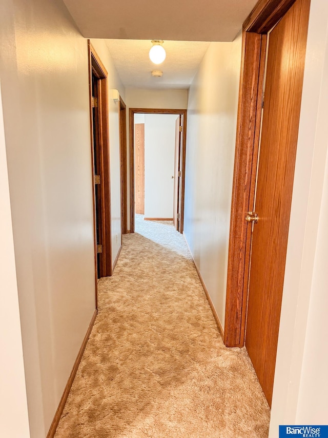 1881 Meadow Ln, Seward, NE 68434 - hallway with carpet floors and baseboards