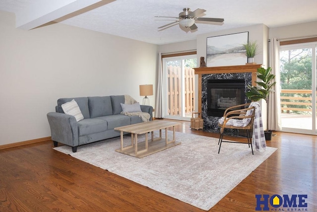 6207 Benjamin Pl, Lincoln, NE 68516 - living room with plenty of natural light, wood finished floors, and a high end fireplace