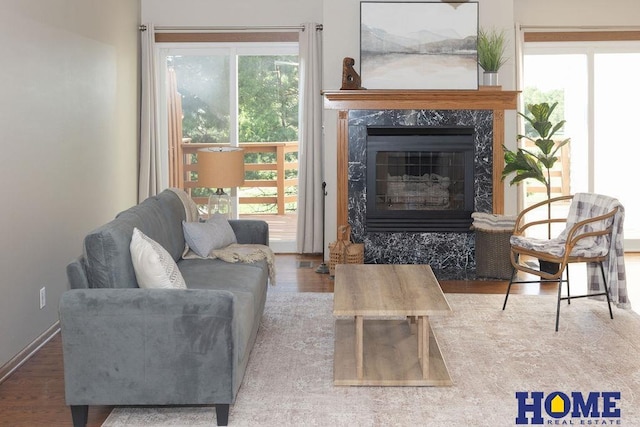 6207 Benjamin Pl, Lincoln, NE 68516 - living room featuring wood finished floors and a fireplace