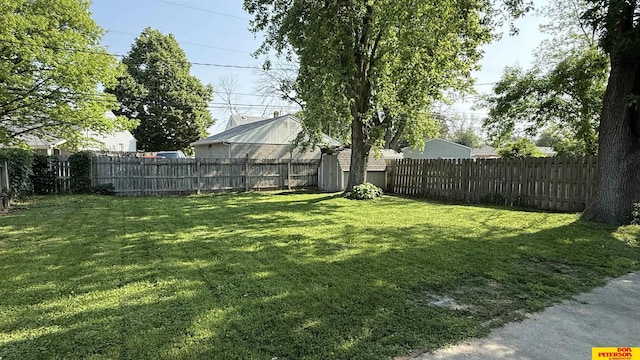 1506 E 1st St, Fremont, NE 68025 - view of yard