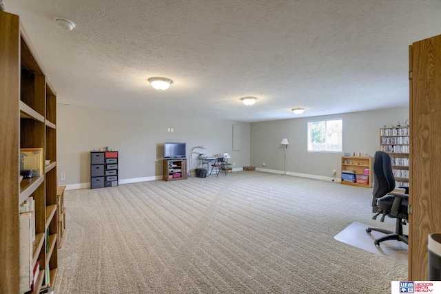 1637 W Avalanche Rd, Lincoln, NE 68521 - carpeted office space with baseboards and a textured ceiling