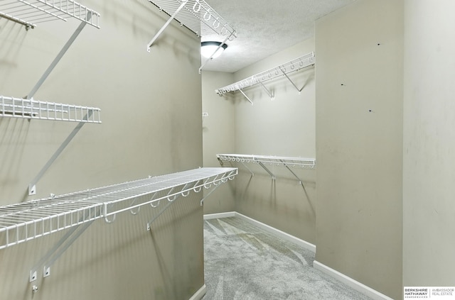 5418 S 165th St, Omaha, NE 68135 - walk in closet featuring carpet