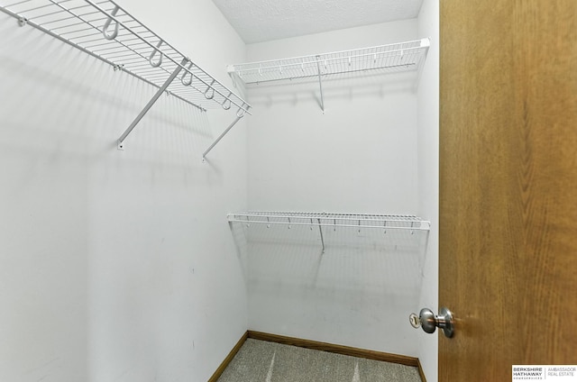 5418 S 165th St, Omaha, NE 68135 - walk in closet featuring carpet