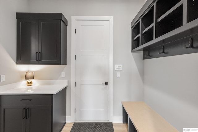 3307 S 209th St, Omaha, NE 68022 - mudroom with light wood finished floors