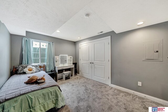 1035 Primrose Ln, Hickman, NE 68372 - carpeted bedroom with electric panel, baseboards, recessed lighting, and a textured ceiling