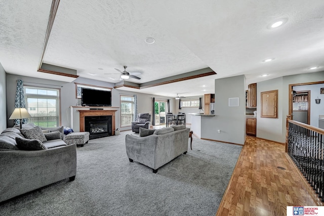 1035 Primrose Ln, Hickman, NE 68372 - living room with a textured ceiling, ceiling fan, a raised ceiling, baseboards, and healthy amount of natural light