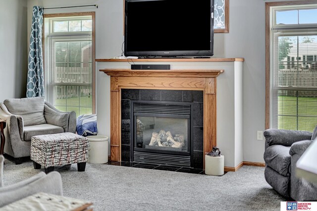 1035 Primrose Ln, Hickman, NE 68372 - living area with carpet floors, a tile fireplace, and baseboards
