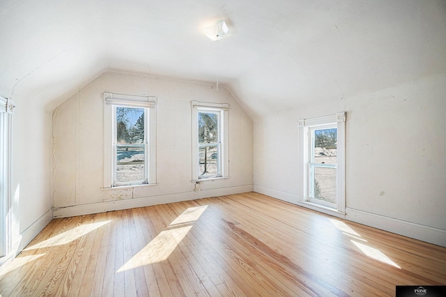 13602 S 36th St, Bellevue, NE 68123 - bonus room with vaulted ceiling, hardwood / wood-style floors, plenty of natural light, and baseboards