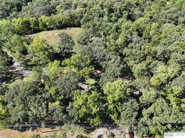 4128 State St, Omaha, NE 68112 - aerial view of a heavily wooded area