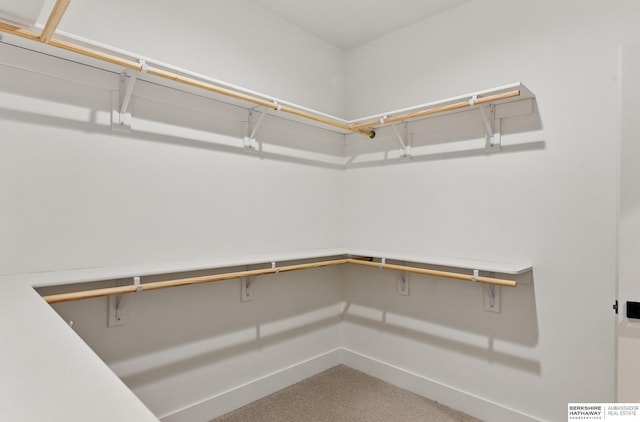 16951 Benjamin St, Bennington, NE 68007 - walk in closet with carpet flooring