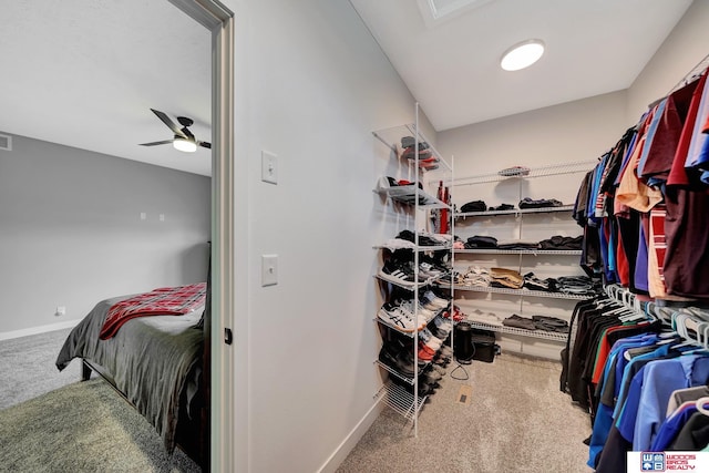 8178 Regent Dr, Lincoln, NE 68507 - walk in closet with carpet floors and ceiling fan