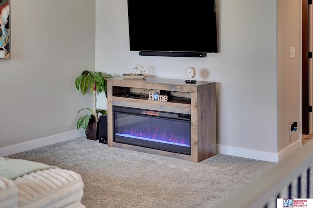 8178 Regent Dr, Lincoln, NE 68507 - detailed view of carpet floors and a glass covered fireplace