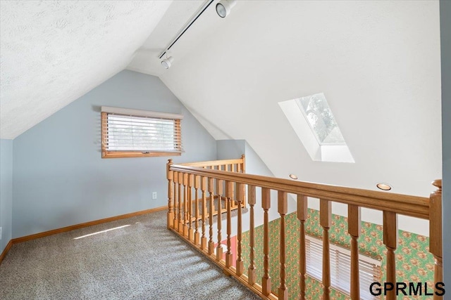 3018 Frederick St S, Omaha, NE 68105 - additional living space featuring a skylight, lofted ceiling, and carpet floors