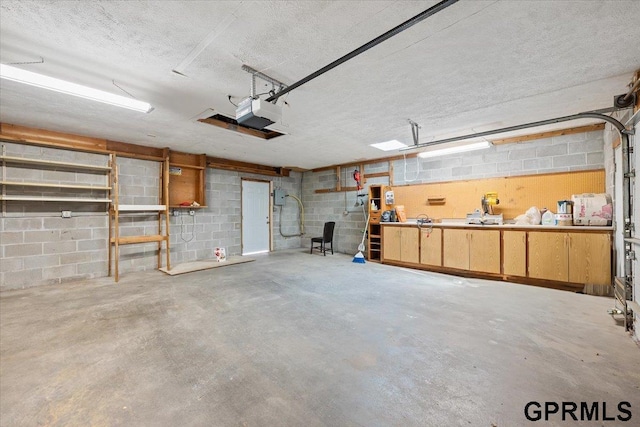 3018 Frederick St S, Omaha, NE 68105 - garage with concrete block wall and a garage door opener