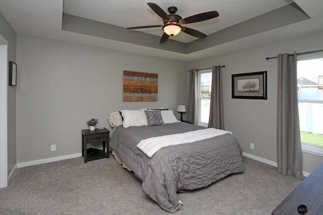 320 Woodland Blvd, Hickman, NE 68372 - bedroom with a raised ceiling, multiple windows, and light colored carpet
