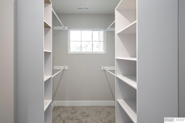 5445 S 51st St, Omaha, NE 68117 - spacious closet featuring carpet