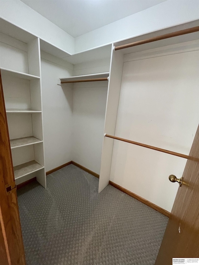 13406 Erskine St, Omaha, NE 68164 - spacious closet featuring carpet flooring