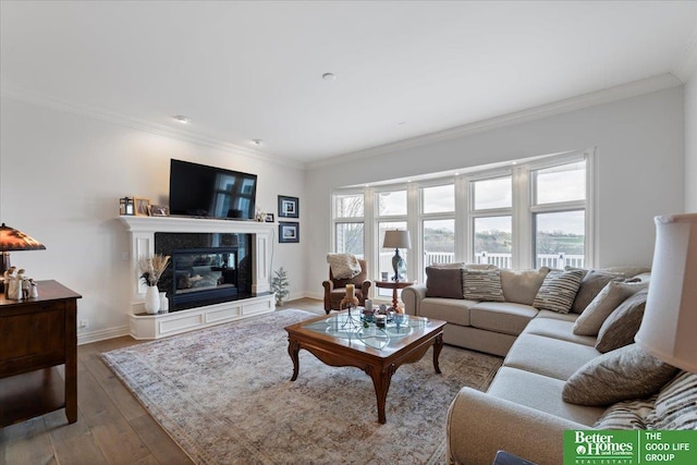 5850 Country Squire Plz, Omaha, NE 68152 - living area featuring ornamental molding, wood finished floors, and a glass covered fireplace