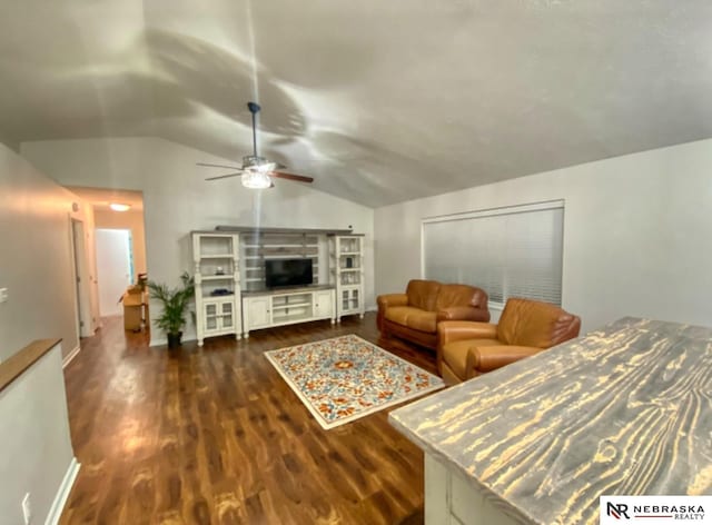 19003 Morrissey Cir, Omaha, NE 68022 - bedroom featuring vaulted ceiling and dark wood-style floors