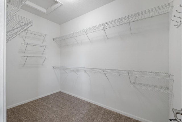6736 S 191st St, Omaha, NE 68135 - spacious closet with carpet floors and attic access