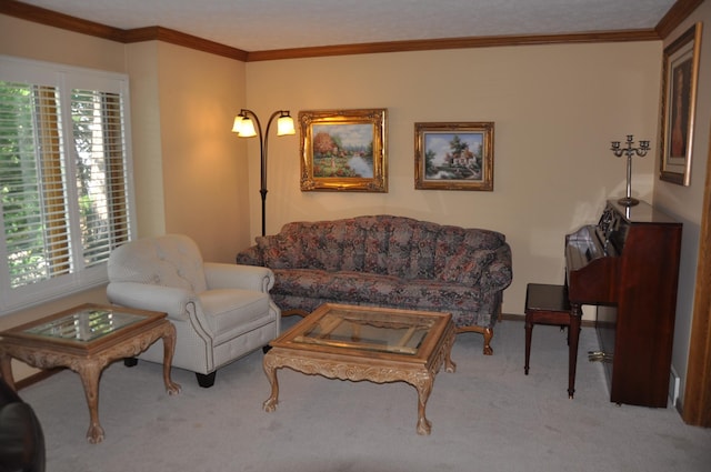 1017 N 129th Cir, Omaha, NE 68154 - living room with carpet floors and ornamental molding