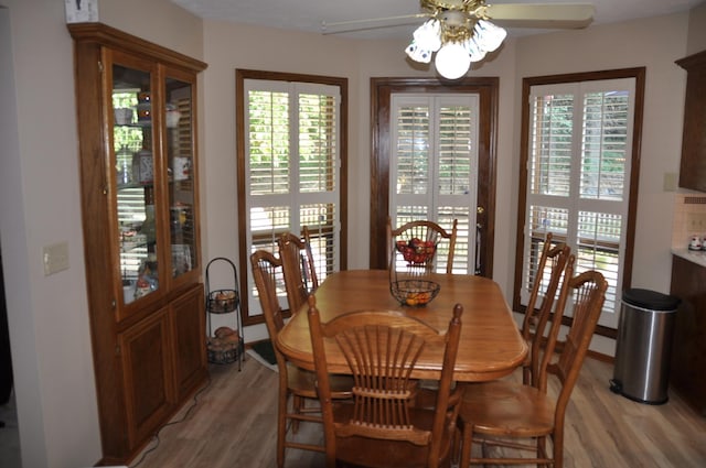 1017 N 129th Cir, Omaha, NE 68154 - dining area with ceiling fan, light wood-style floors, and plenty of natural light