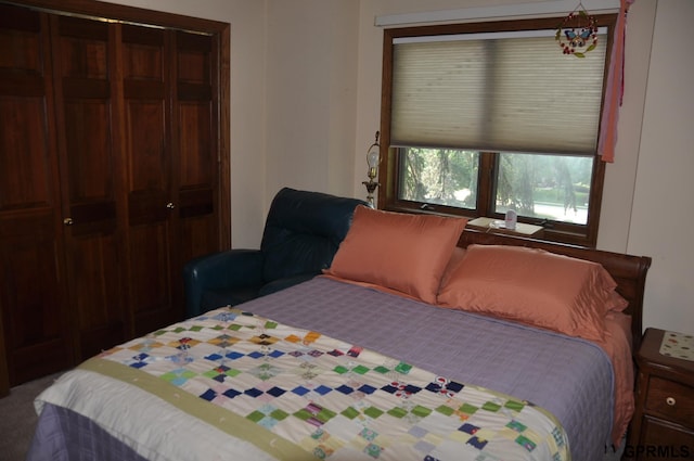 1017 N 129th Cir, Omaha, NE 68154 - view of bedroom