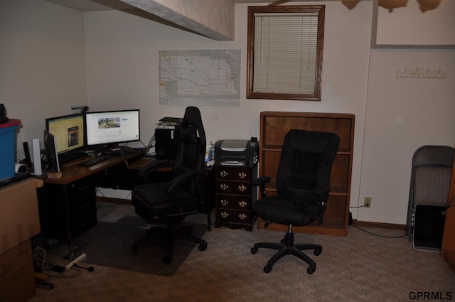 1017 N 129th Cir, Omaha, NE 68154 - home office with carpet