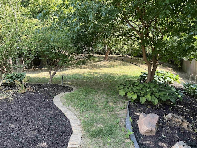 1017 N 129th Cir, Omaha, NE 68154 - view of yard