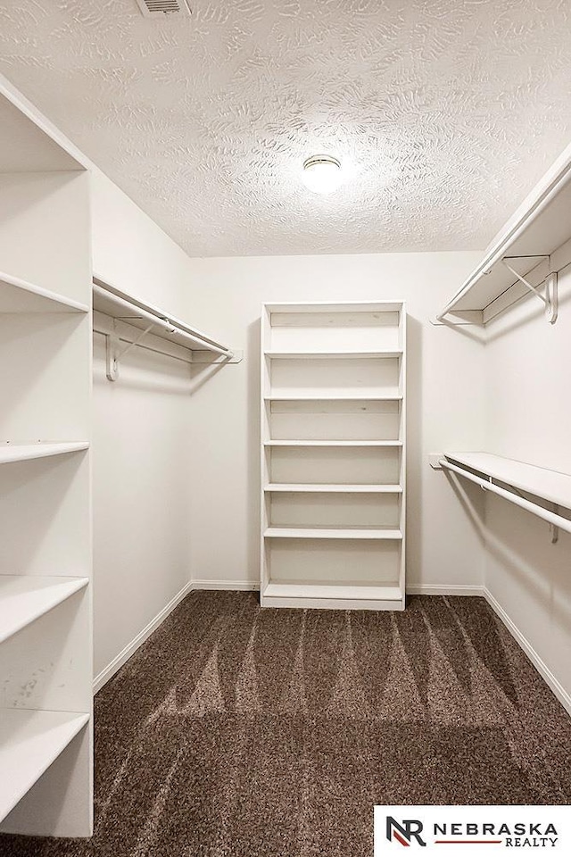 1425 S 158th Cir, Omaha, NE 68130 - walk in closet featuring carpet flooring