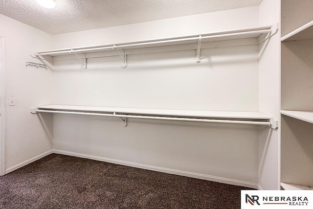 1425 S 158th Cir, Omaha, NE 68130 - walk in closet with dark colored carpet