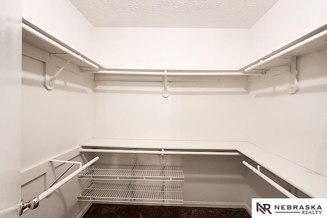1425 S 158th Cir, Omaha, NE 68130 - view of walk in closet