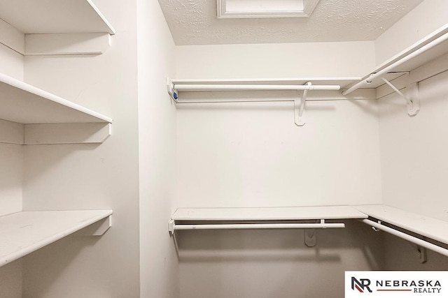1425 S 158th Cir, Omaha, NE 68130 - view of spacious closet
