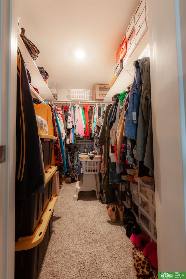 12210 Quail Dr, Bellevue, NE 68123 - walk in closet with carpet floors