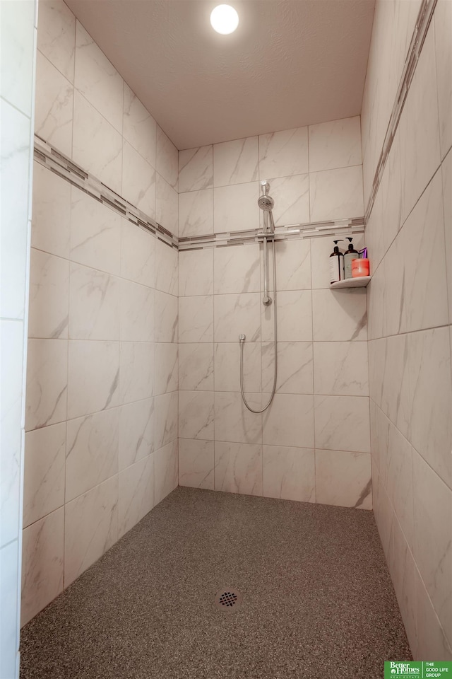 12210 Quail Dr, Bellevue, NE 68123 - full bathroom with tiled shower