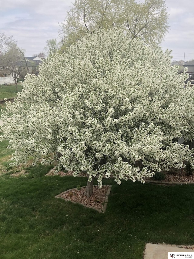 1933 Redstone Rd, Lincoln, NE 68521 - view of grassy yard