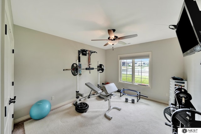 820 N 100th St, Lincoln, NE 68527 - workout room featuring a ceiling fan and carpet