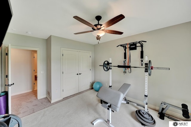 820 N 100th St, Lincoln, NE 68527 - workout room featuring a ceiling fan and carpet