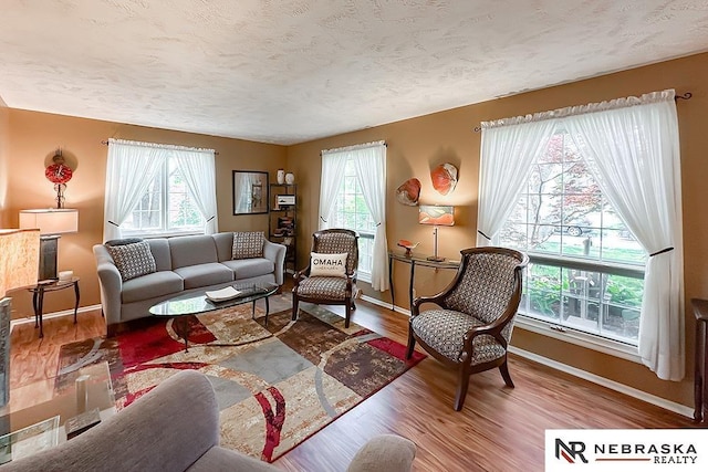 1817 Holling Dr, Omaha, NE 68144 - living room featuring plenty of natural light, wood finished floors, and a textured ceiling