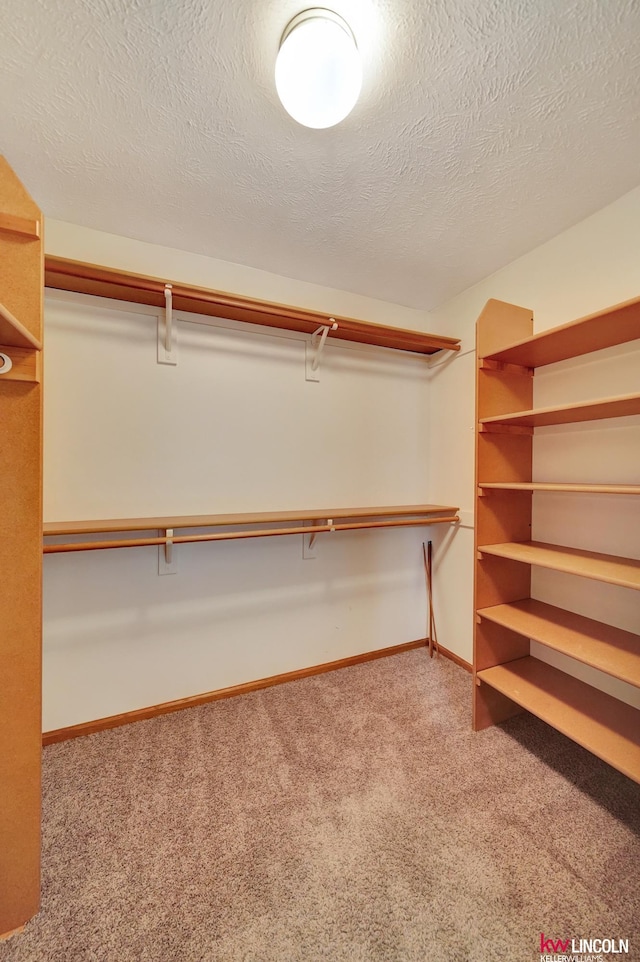 4630 Eagle Ridge Rd, Lincoln, NE 68516 - walk in closet with carpet