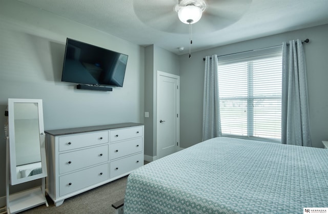 7342 S 184th St, Omaha, NE 68136 - bedroom with dark colored carpet and ceiling fan