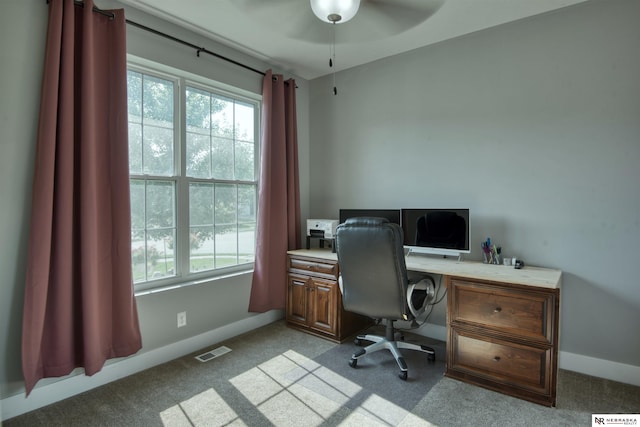 7342 S 184th St, Omaha, NE 68136 - carpeted home office with ceiling fan and plenty of natural light