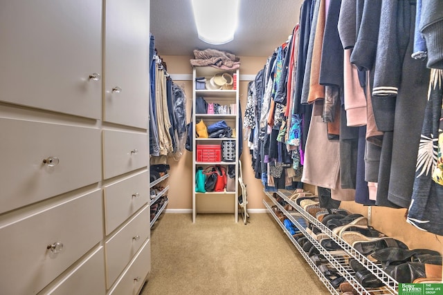 9706 Ascot Dr, Omaha, NE 68114 - walk in closet featuring light carpet