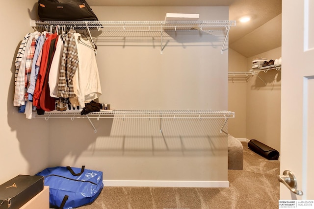 7163 N 164th St, Bennington, NE 68007 - spacious closet with carpet flooring