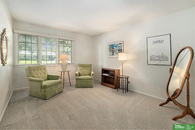 1729 S 76th Ave, Omaha, NE 68124 - living area featuring carpet flooring and baseboards