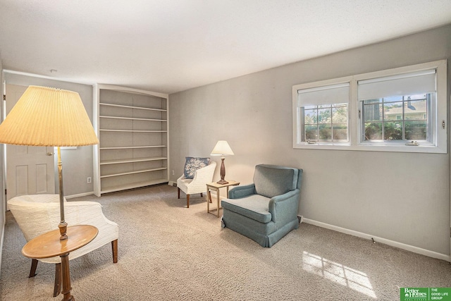 1729 S 76th Ave, Omaha, NE 68124 - sitting room featuring carpet and built in shelves
