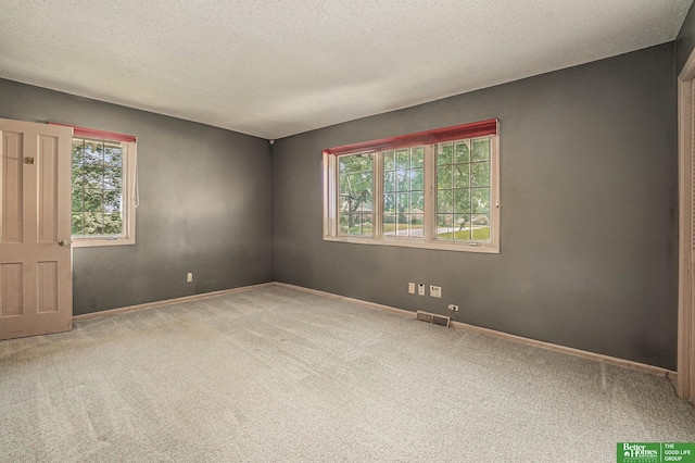 1729 S 76th Ave, Omaha, NE 68124 - unfurnished room with carpet, plenty of natural light, and a textured ceiling