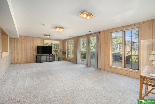 1729 S 76th Ave, Omaha, NE 68124 - unfurnished living room with wood walls, plenty of natural light, and carpet